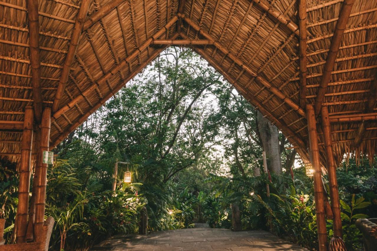 סן חואן דל סור Dreamsea Surf Resort Nicaragua מראה חיצוני תמונה