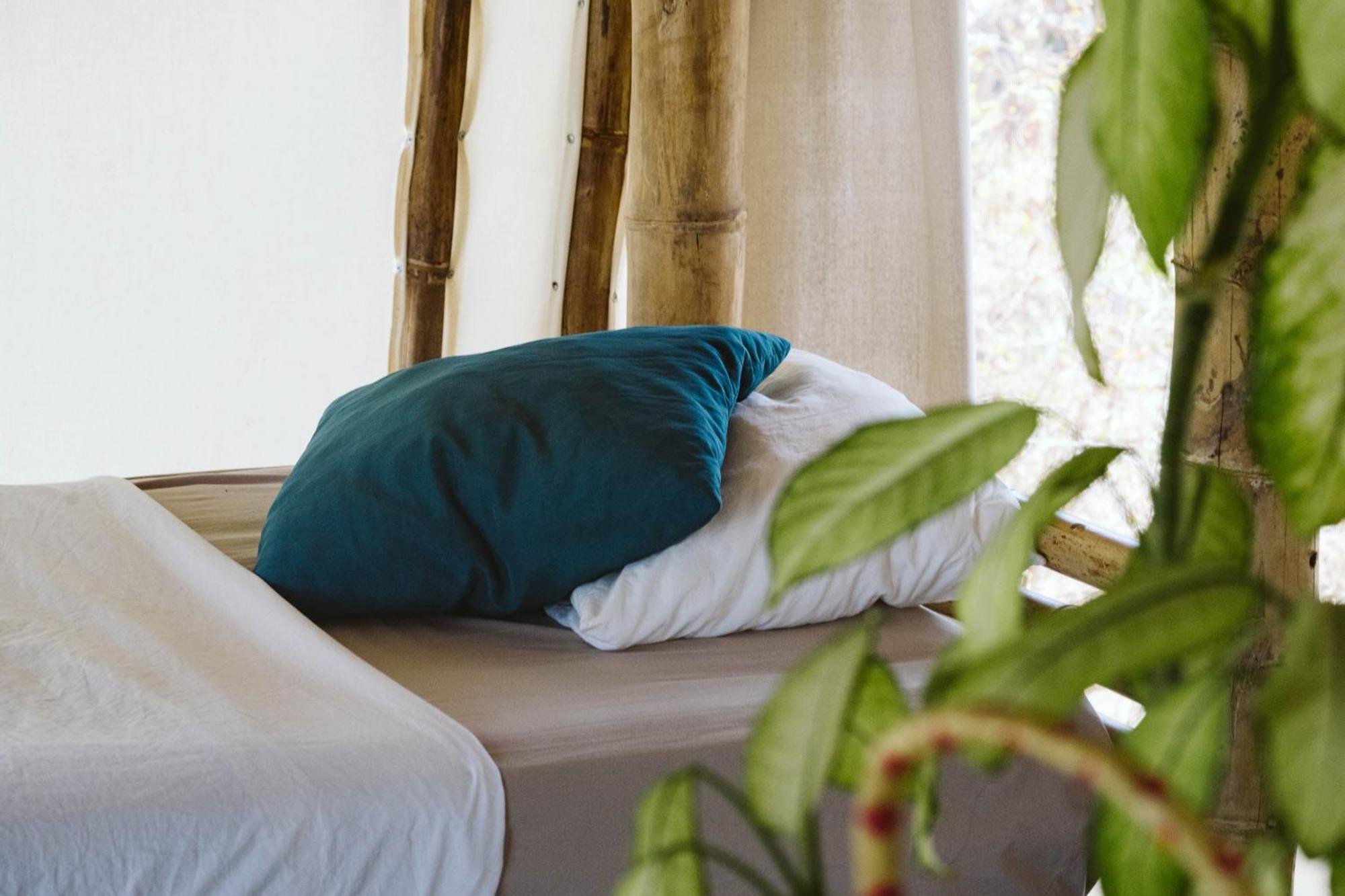 סן חואן דל סור Dreamsea Surf Resort Nicaragua חדר תמונה