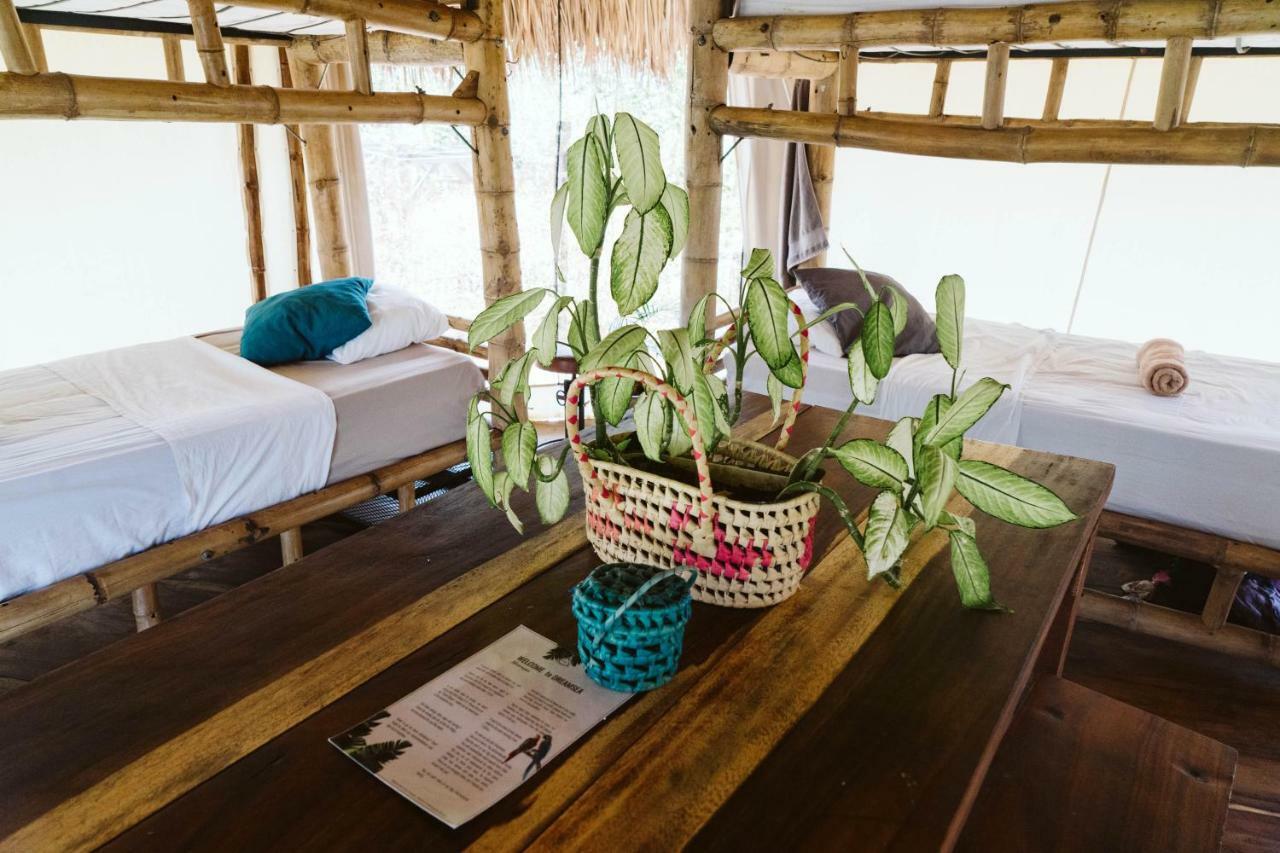 סן חואן דל סור Dreamsea Surf Resort Nicaragua מראה חיצוני תמונה