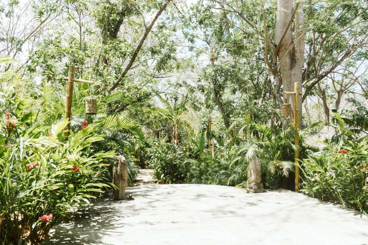 סן חואן דל סור Dreamsea Surf Resort Nicaragua מראה חיצוני תמונה