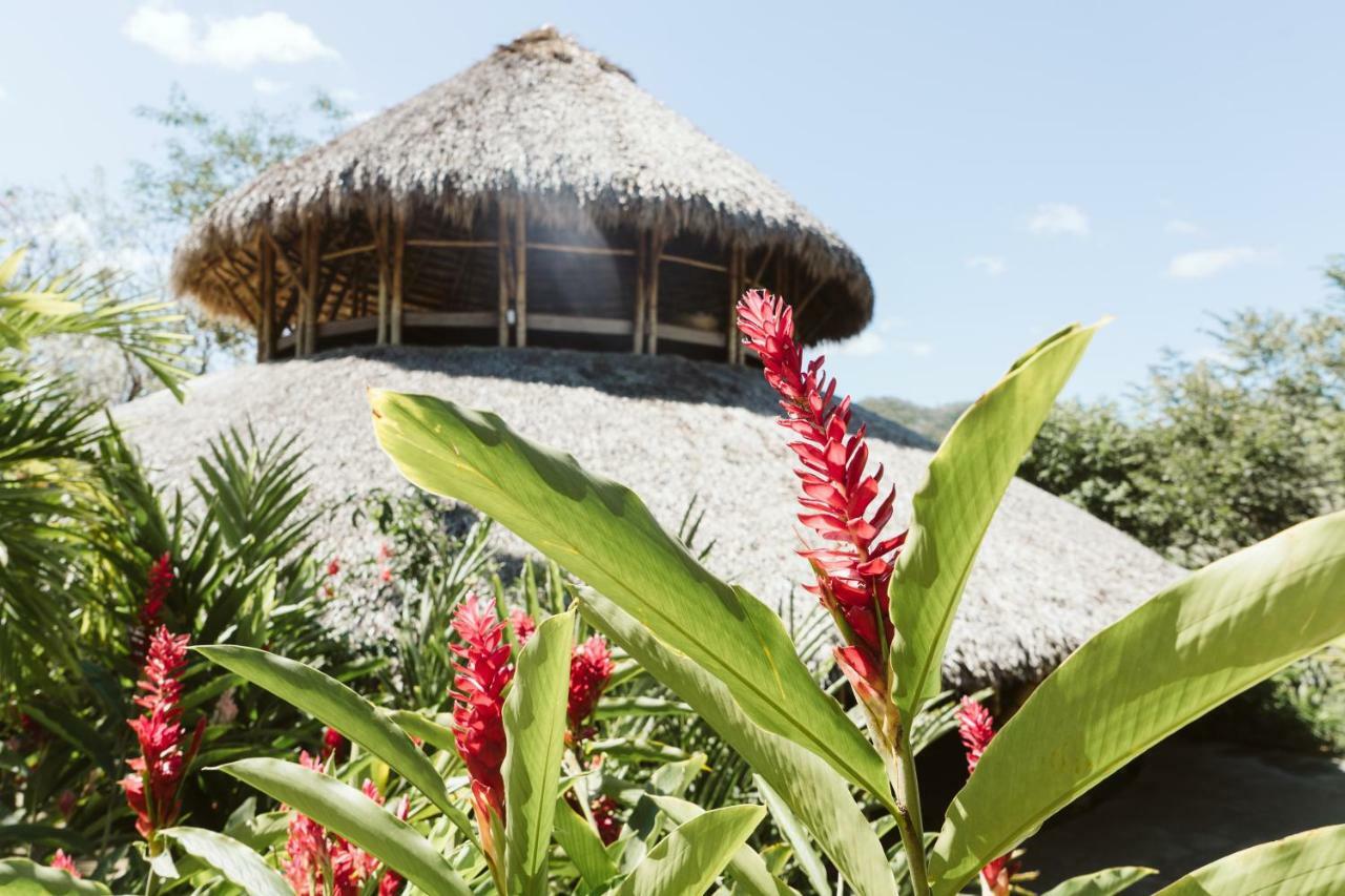 סן חואן דל סור Dreamsea Surf Resort Nicaragua מראה חיצוני תמונה